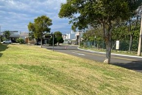 Avenida arborizada dentro do condomínio