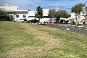 Rua com casas construídas no condomínio